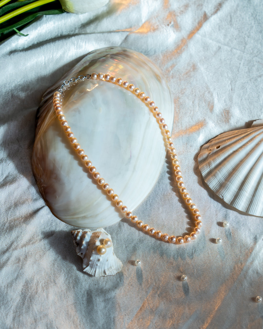 Vaasvi Blush Pearl set